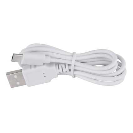 Globo - Himmennettävä LED-kosketuspöytävalaisin LED/2W/5V 1200 mAh USB läpinäkyvä