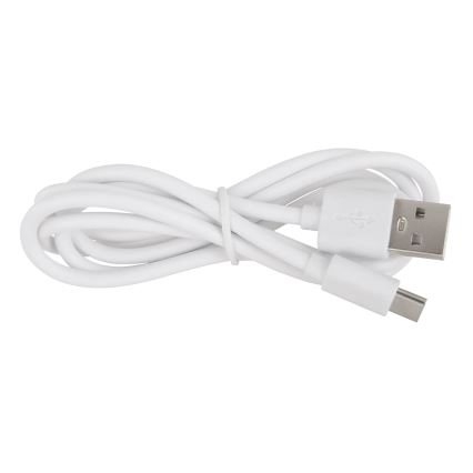 Globo - Himmennettävä LED-kosketuspöytävalaisin LED/2,5W/3,7V 2700K/4000K/6500K 1800 mAh USB mattakromi