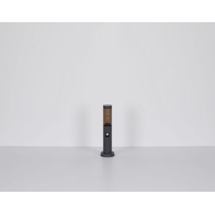 Globo - Ulkovalaisin 1xE27/23W/230V 45 cm IP44