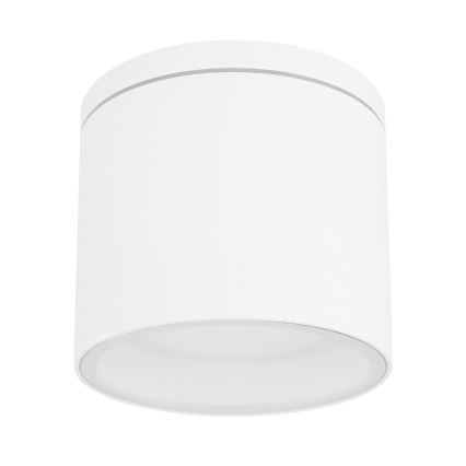 Globo - Ulkokattovalo 1xGX53/11W/230V IP44