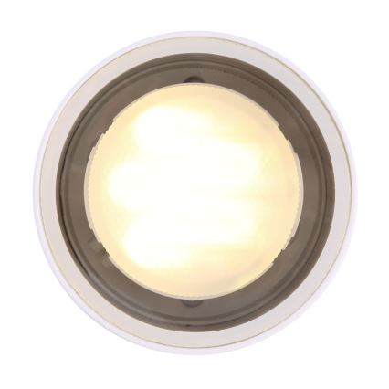Globo - Ulkokattovalo 1xGX53/11W/230V IP44