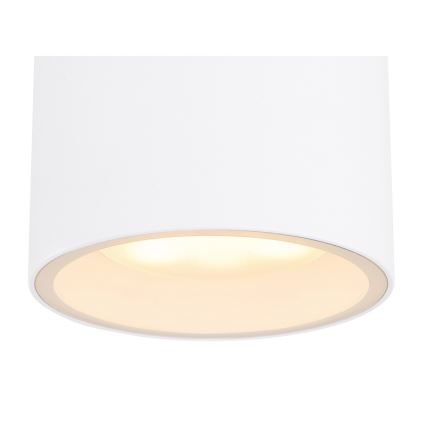 Globo - Ulkokattovalo 1xGX53/11W/230V IP44
