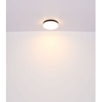 Globo - Kylpyhuoneen valo 1xE27/60W/230V halkaisija 18,4 cm IP44