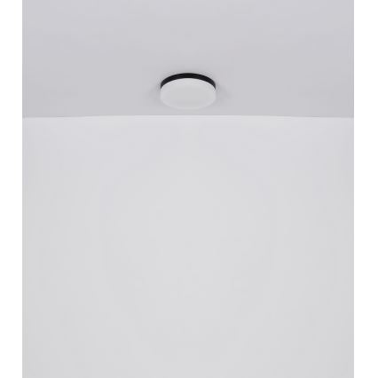 Globo - Kylpyhuoneen valo 1xE27/60W/230V halkaisija 18,4 cm IP44