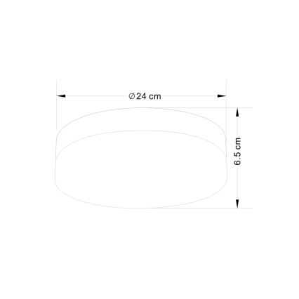 Globo - Kylpyhuoneen valo 2xE27/40W/230V halkaisija 24 cm IP44