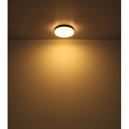 Globo - Kylpyhuoneen valo 2xE27/60W/230V halkaisija 24 cm IP44
