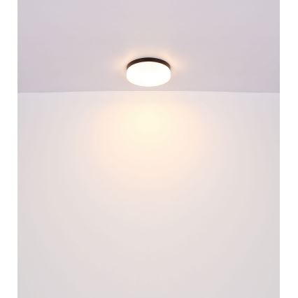 Globo - Kylpyhuoneen valo 2xE27/60W/230V halkaisija 24 cm IP44