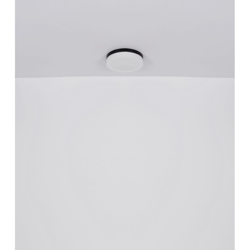Globo - Kylpyhuoneen valo 2xE27/60W/230V halkaisija 24 cm IP44