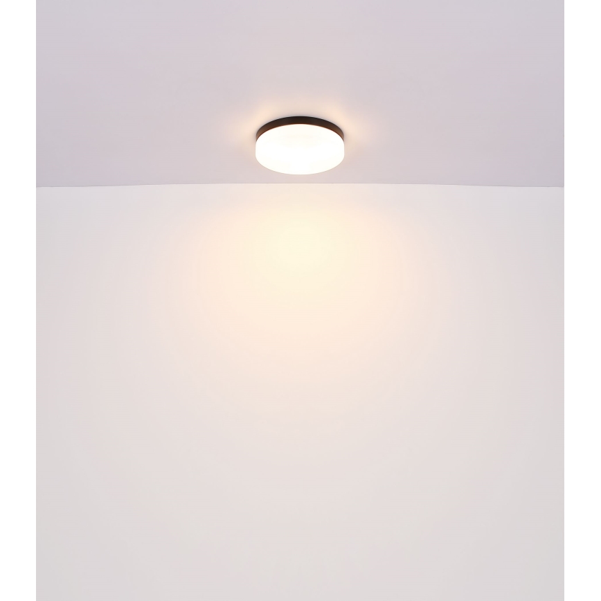 Globo - Kylpyhuoneen valo 3xE27/60W/230V halkaisija 30 cm IP44