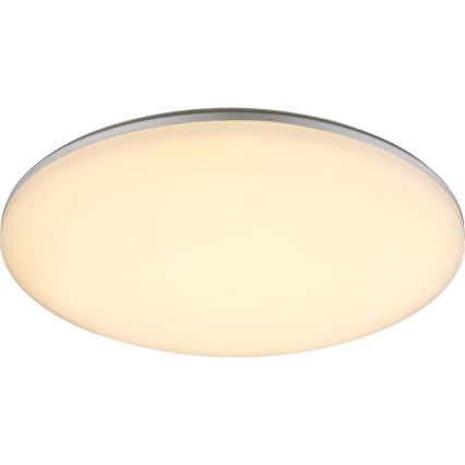 Globo - LED-ulkokattovalaisin 1xLED/24W/230V IP54