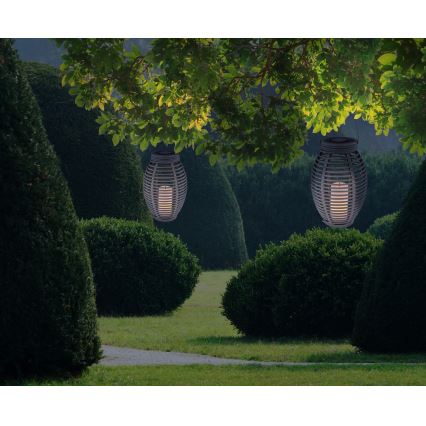 Globo - LED Aurinkokennovalo LED/0,06W/3,2V IP44 rottinki