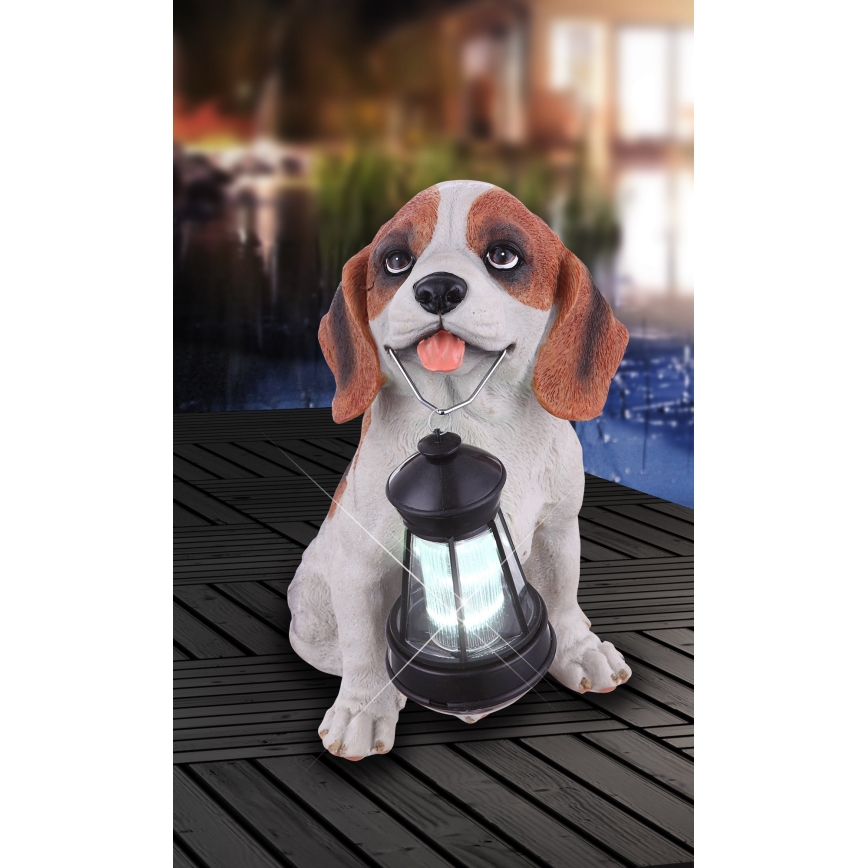 Globo - LED aurinkokäyttöinen valaisin LED/0,06W/3V IP44 600 mAh