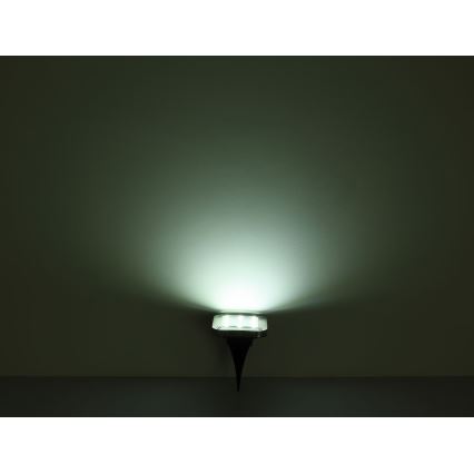 Globo - SETTI 2x LED Aurinkokennovalo LED/0,8W/1,2V IP44