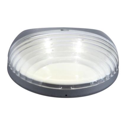 Globo - LED-seinäaurinkovalaisin 2xLED/0,06W/1,2V IP44