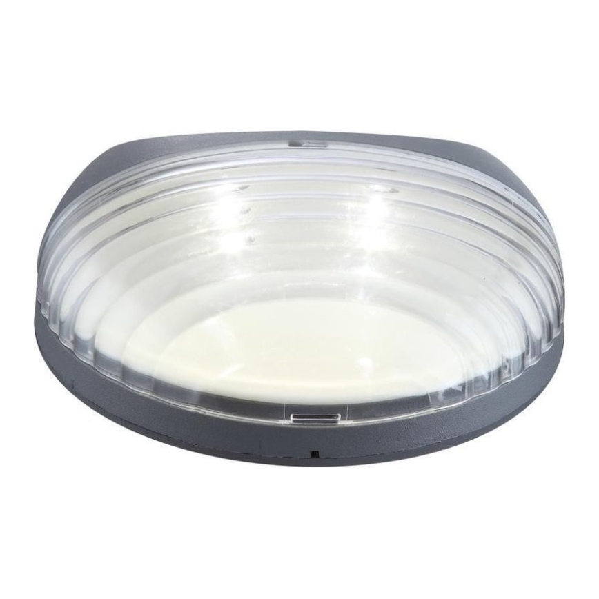 Globo - LED-seinäaurinkovalaisin 2xLED/0,06W/1,2V IP44