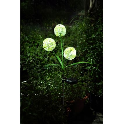 Globo  - LED-aurinkovalaistus 3xLED/0,06W/3V 5000K IP44 keltainen