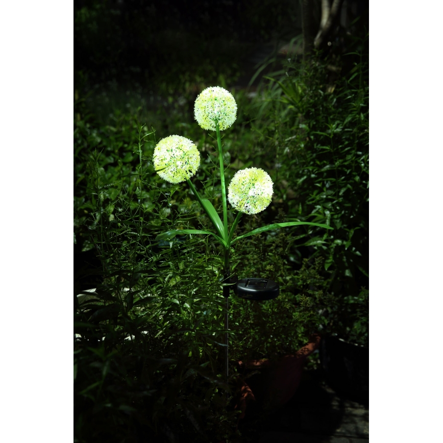 Globo  - LED-aurinkovalaistus 3xLED/0,06W/3V 5000K IP44 keltainen