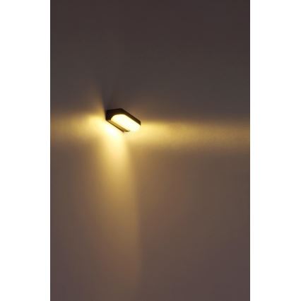 Globo - LED-ulkoseinävalaisin LED/20W/230V IP54