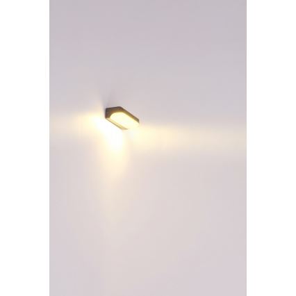 Globo - LED-ulkoseinävalaisin LED/20W/230V IP54