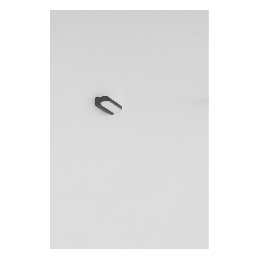Globo - LED-ulkoseinävalaisin LED/20W/230V IP54