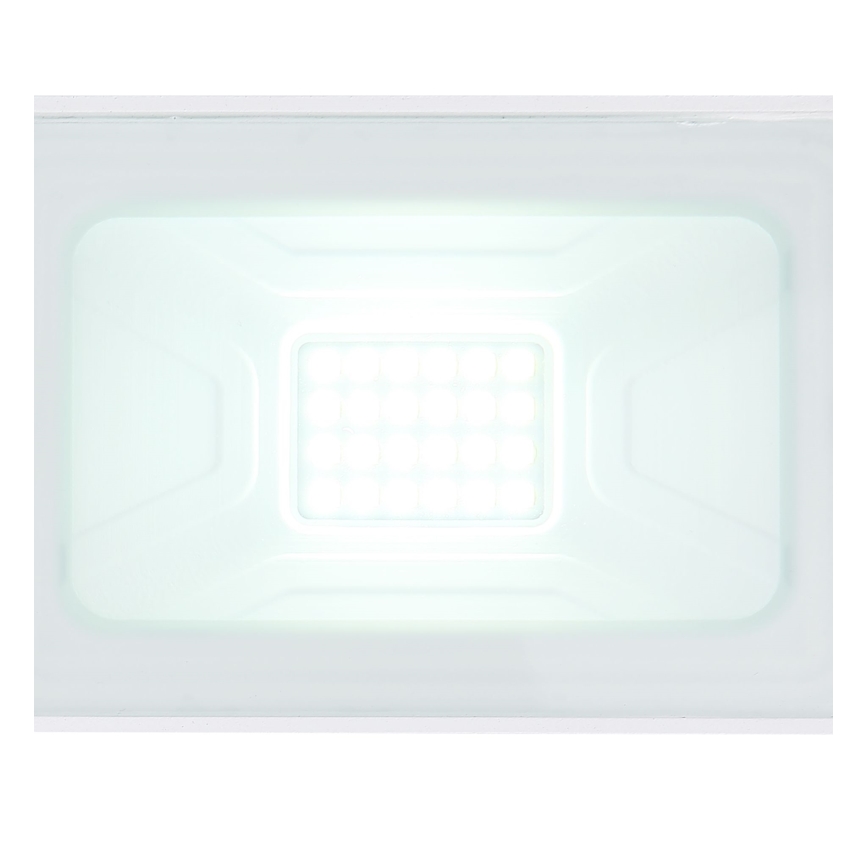 Globo - LED-valonheitin LED/20W/230V IP65