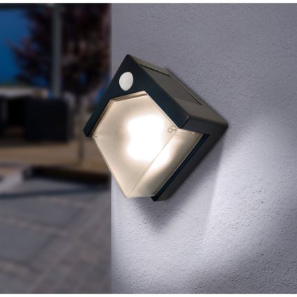 Globo - LED aurinkokennovalo anturilla LED/0,48W/3V IP44 600 mAh