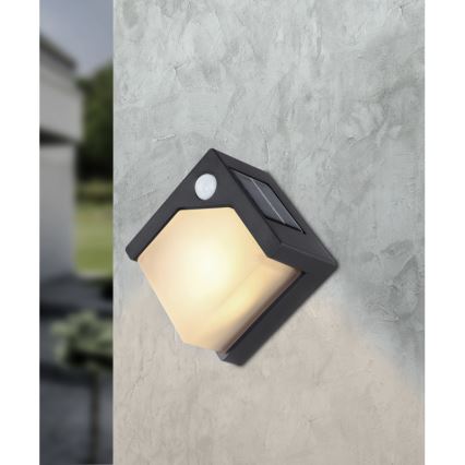Globo - LED aurinkovalo anturilla LED/0,48W/3V IP44