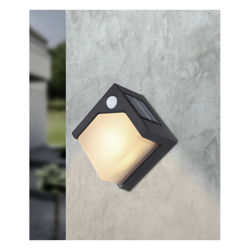 Globo - LED aurinkovalo anturilla LED/0,48W/3V IP44