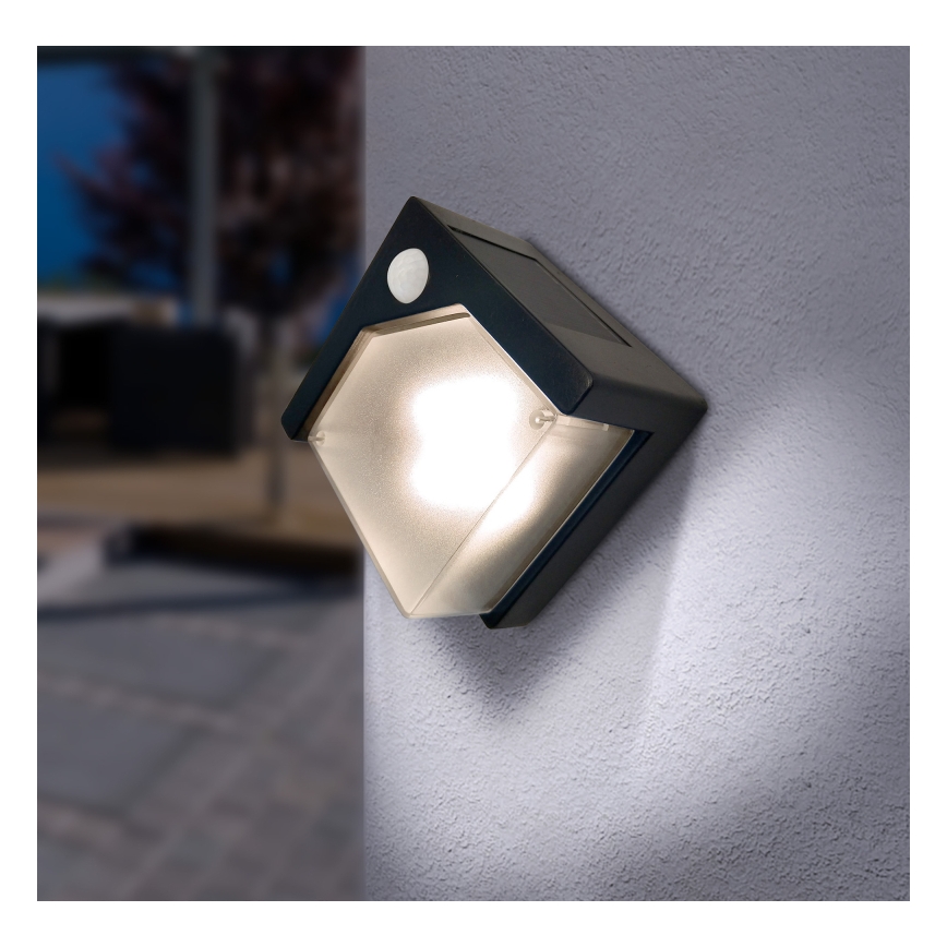 Globo - LED aurinkovalo anturilla LED/0,48W/3V IP44