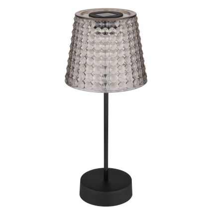 Globo 36634-2S - SETTI 2x LED-aurinkovalaistus SOLAR LED/0,06W/3V IP44 harmaa