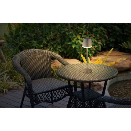 Globo - LED-aurinkovalaistus LED/0,6W/3V 3000K IP44 antrasiitti