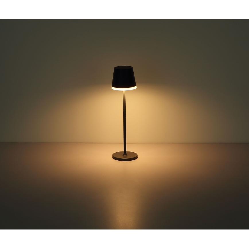 Globo - LED-aurinkovalaistus LED/0,6W/3V 3000K IP44 antrasiitti