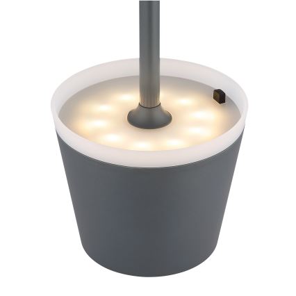 Globo - LED-aurinkovalaistus LED/0,6W/3V 3000K IP44 antrasiitti