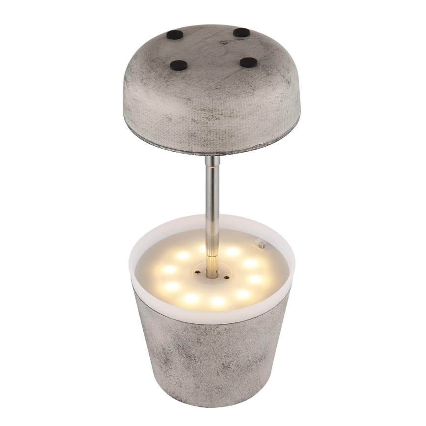 Globo - LED-aurinkolamppu 10xLED/0,06W/3V IP44 harmaa