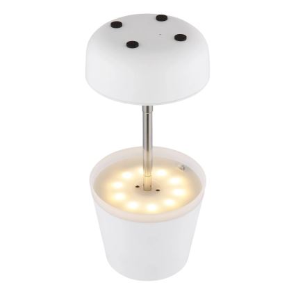 Globo - LED-aurinkolamppu 10xLED/0,06W/3V IP44 valkoinen