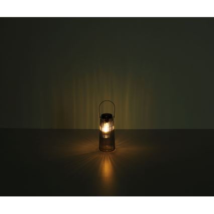 Globo - LED-aurinkovalaistus 2xLED/0,5W/3V 3000K IP44