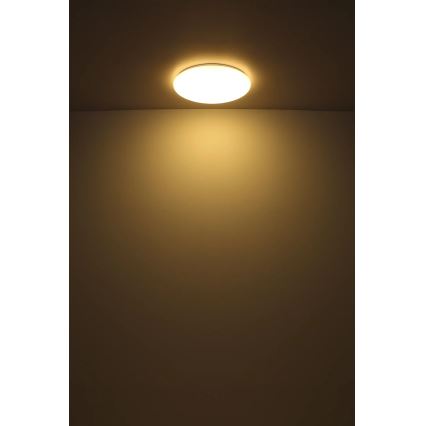 Globo - LED-kattovalaisin LED/24W/230V halkaisija 49,5 cm valkoinen