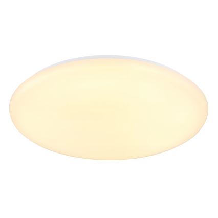 Globo - LED-kattovalaisin LED/24W/230V halkaisija 49,5 cm valkoinen