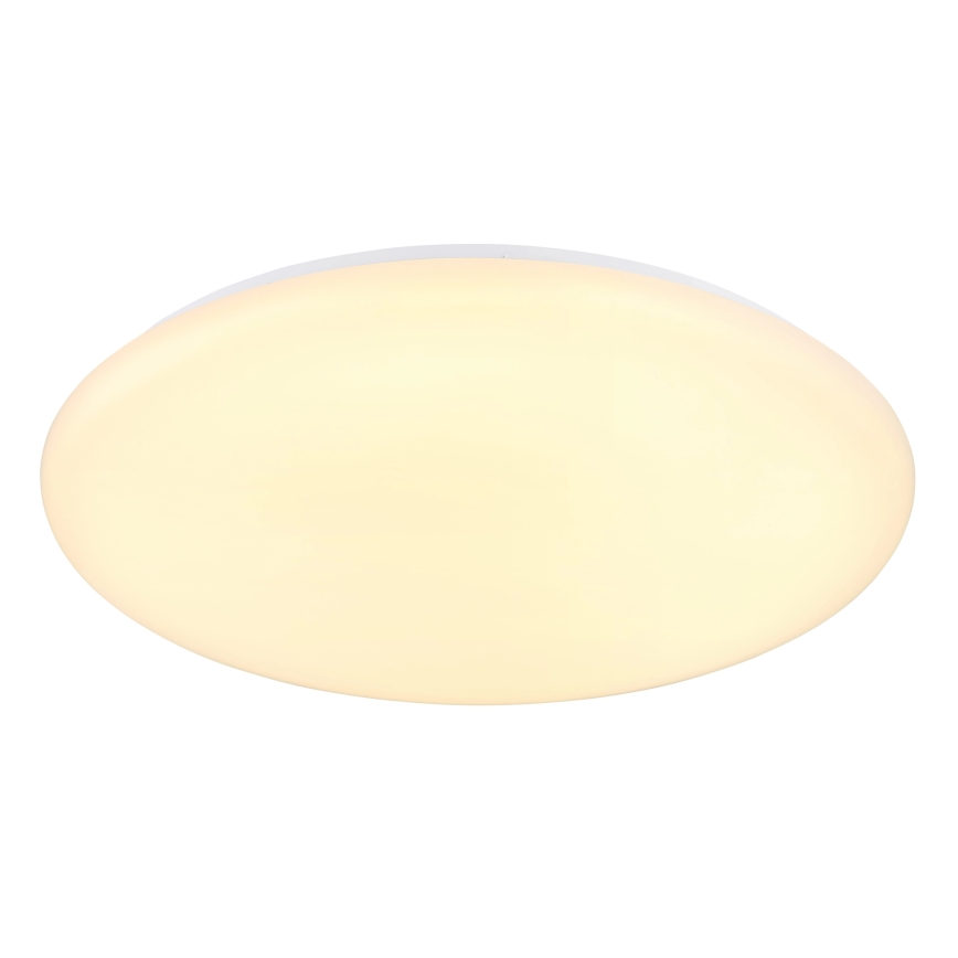 Globo - LED-kattovalaisin LED/24W/230V halkaisija 49,5 cm valkoinen