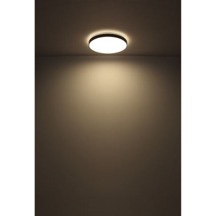 Globo - LED-kattovalaisin LED/24W/230V