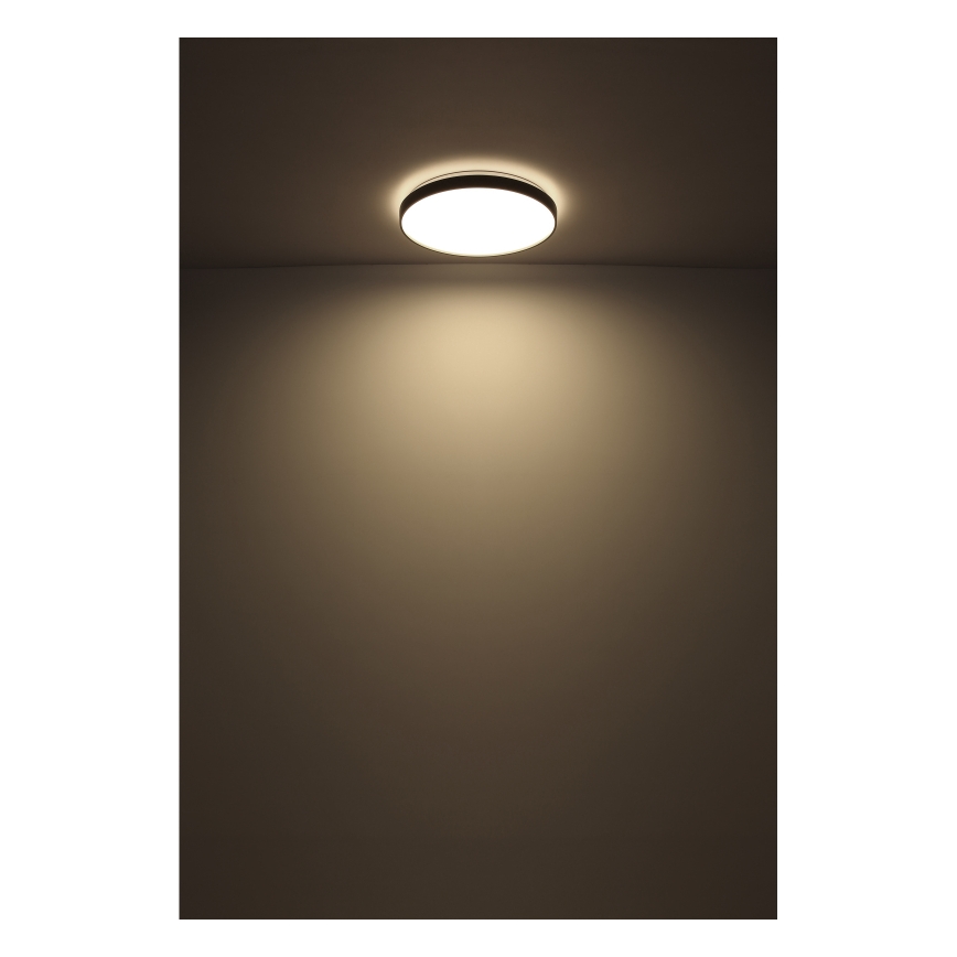 Globo - LED-kattovalaisin LED/24W/230V