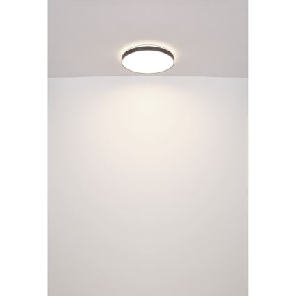 Globo - LED-kattovalaisin LED/24W/230V