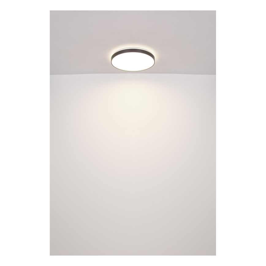 Globo - LED-kattovalaisin LED/24W/230V