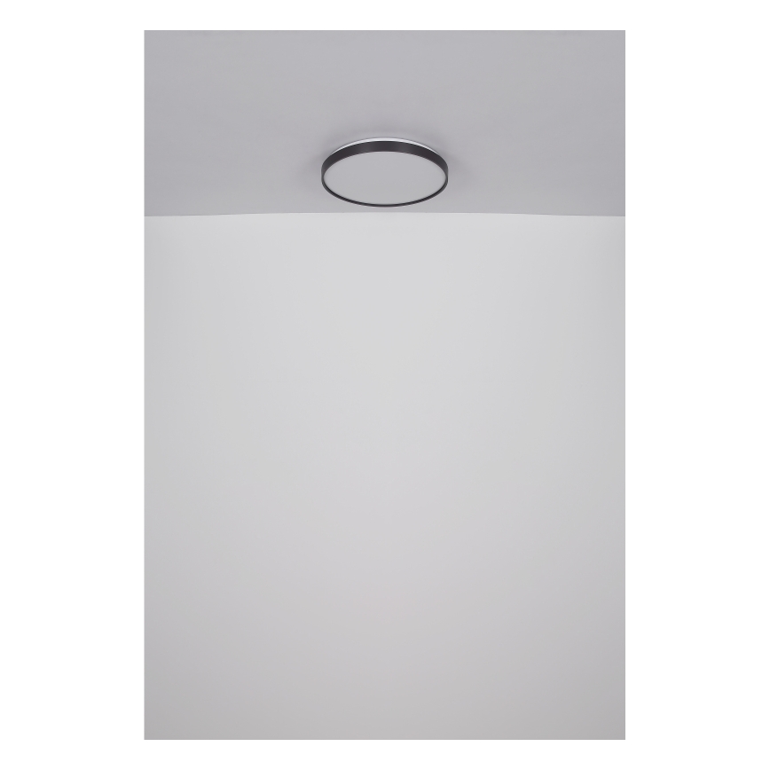 Globo - LED-kattovalaisin LED/24W/230V