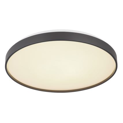 Globo - LED-kattovalaisin LED/24W/230V