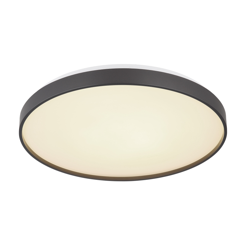 Globo - LED-kattovalaisin LED/24W/230V