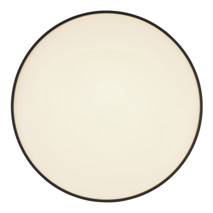 Globo - LED-kattovalaisin LED/24W/230V