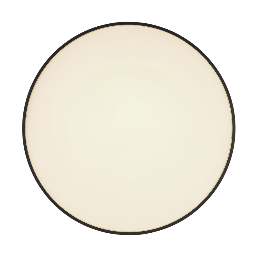 Globo - LED-kattovalaisin LED/24W/230V
