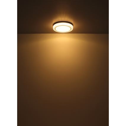 Globo - LED-kattovalaisin LED/24W/230V halkaisija 40 cm 3000K valkoinen