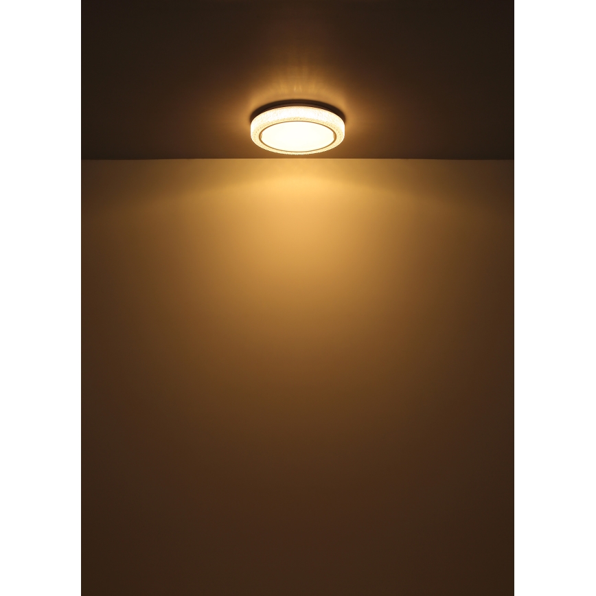 Globo - LED-kattovalaisin LED/24W/230V halkaisija 40 cm 3000K valkoinen